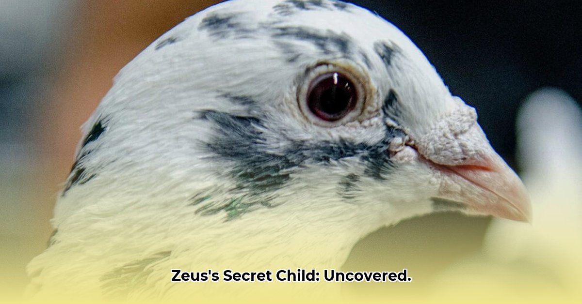 geboren-uit-hoofd-zeus